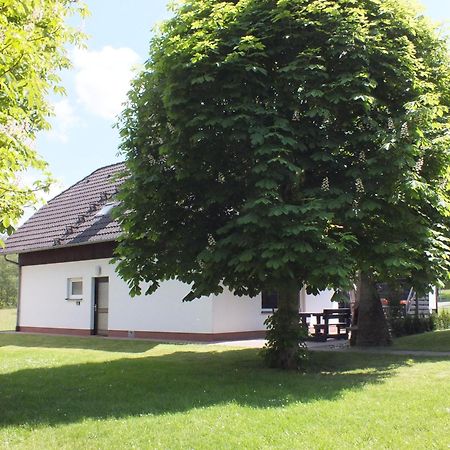 Ferienhaus Moni Mit 2 Separaten Wohnungen Am Silbersee Frielendorf Eksteriør bilde